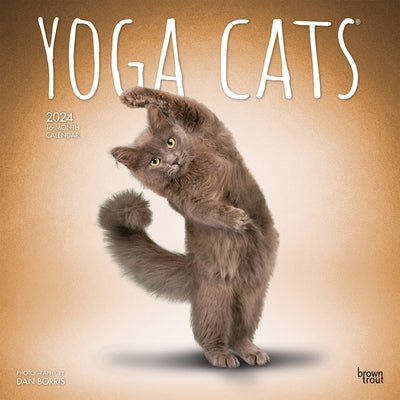 Yoga Cats 2024 Square by Browntrout