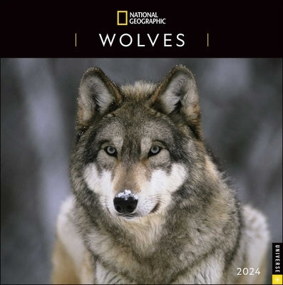 National Geographic: Wolves 2024 Wall Calendar by National Geographic