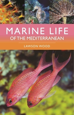 Marine Life of the Mediterranean by Wood, Lawson