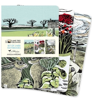 Angela Harding: Landscapes Set of 3 MIDI Notebooks by Flame Tree Studio