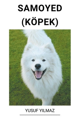 Samoyed (Köpek) by Yilmaz, Yusuf