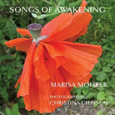 Songs of Awakening by Mohrer, Marisa