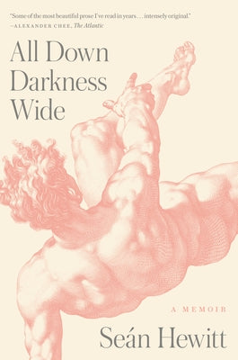 All Down Darkness Wide: A Memoir by Hewitt, Se&#195;&#161;n