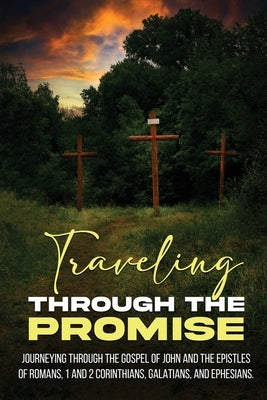 Traveling Through the Promise by Gould, Tim W.