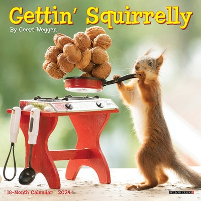 Gettin' Squirrelly 2024 7 X 7 Mini Wall Calendar by Geert Weggen