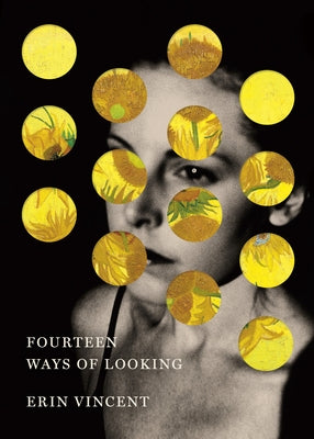 Fourteen Ways of Looking by Vincent, Erin