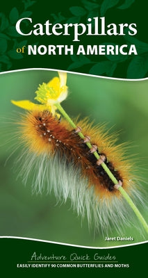 Caterpillars of North America: Easily Identify 90 Common Butterflies and Moths by Daniels, Jaret C.