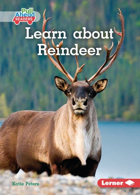 Learn about Reindeer by Peters, Katie