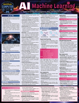 AI Machine Learning: A Quickstudy Laminated Reference Guide by Allison, Kyle