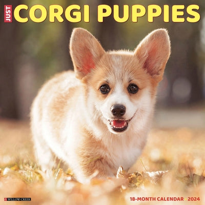 Just Corgi Puppies 2024 12 X 12 Wall Calendar by Willow Creek Press