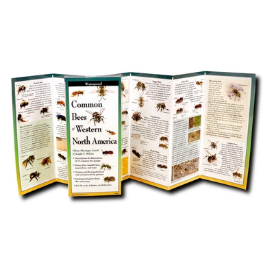 Common Bees of Western North America by Wilson, Joseph