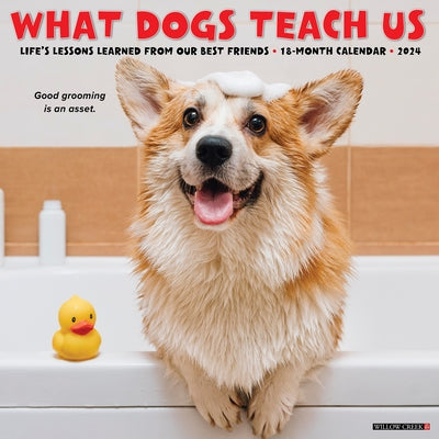 What Dogs Teach Us 2024 12 X 12 Wall Calendar by Willow Creek Press