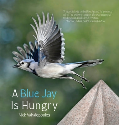 A Blue Jay is Hungry by Vakalopoulos, Nick