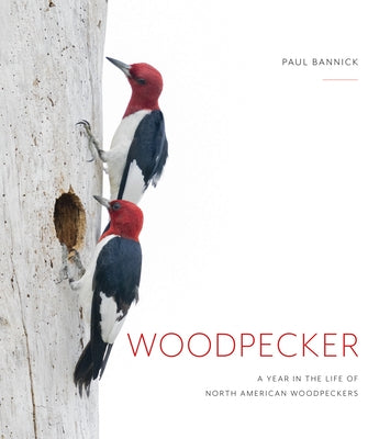 Woodpecker: A Year in the Life of North American Woodpeckers by Bannick, Paul