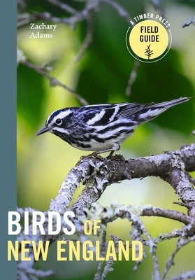 Birds of New England: A Timber Press Field Guide by Adams, Zach