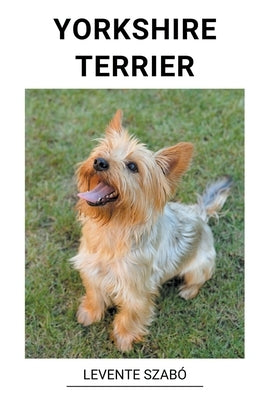 Yorkshire Terrier by Szab&#243;, Levente