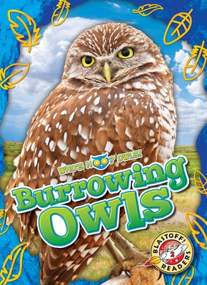 Burrowing Owls by Barnes, Rachael