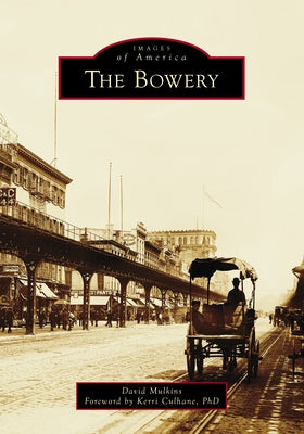 The Bowery by Mulkins, David