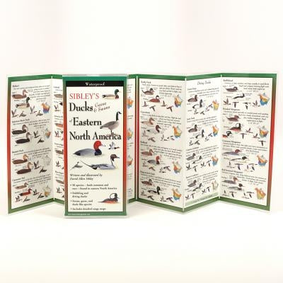 Sibley's Ducks, Geese, and Swans of Eastern North America by Sibley, David Allen