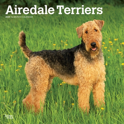 Airedale Terriers 2024 Square by Browntrout