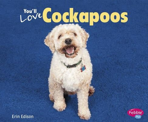 You'll Love Cockapoos by Saunders-Smith, Gail