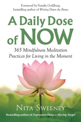A Daily Dose of Now: 365 Mindfulness Meditation Practices for Living in the Moment by Sweeney, Nita