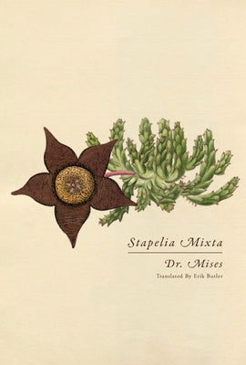 Stapelia Mixta by Mises