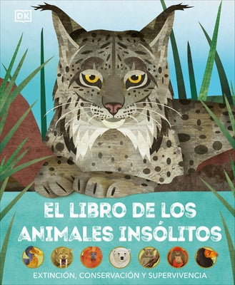 El Libro de Los Animales Insólitos (Animals Lost and Found): Extinción, Conservación Y Supervivencia by Bittel, Jason