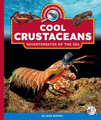 Cool Crustaceans: Invertebrates of the Sea by Scheffer, Janie