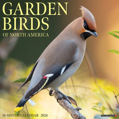 Garden Birds 2024 12 X 12 Wall Calendar by Willow Creek Press
