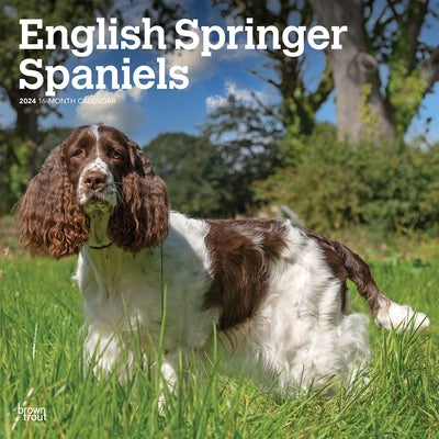 English Springer Spaniels 2024 Square by Browntrout