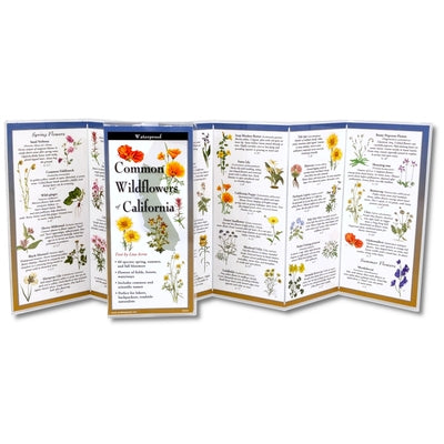 Common Wildflowers of California by Acree, Lisa