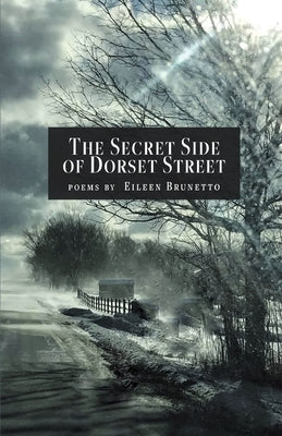 The Secret Side of Dorset Street by Brunetto, Eileen