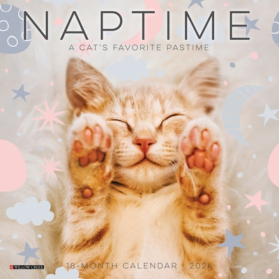 Naptime (Cats) 2024 7 X 7 Mini Wall Calendar by Willow Creek Press