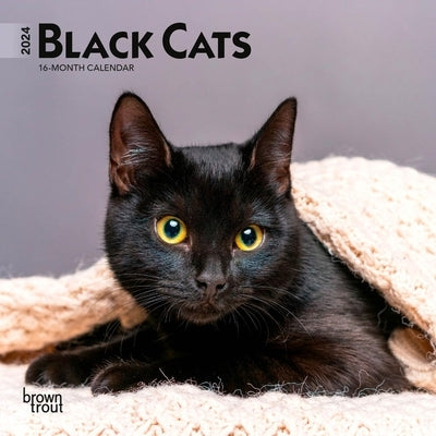 Black Cats 2024 Mini 7x7 by Browntrout