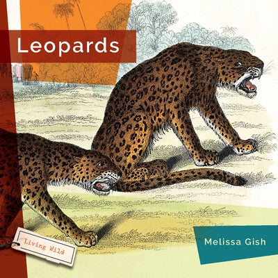 Leopards by Gish, Melissa