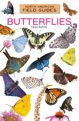 Butterflies by Burling, Alexis