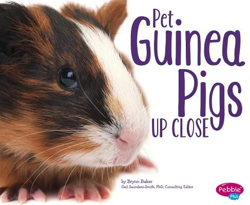 Pet Guinea Pigs Up Close by Saunders-Smith, Gail