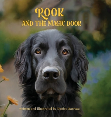 Rook and the Magic Door: Written and Illustrated by Danica Barreau by Barreau, Danica