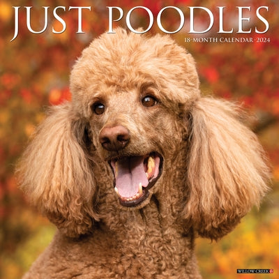 Just Poodles 2024 12 X 12 Wall Calendar by Willow Creek Press