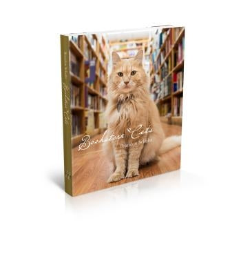 Bookstore Cats by Schultz, Brandon
