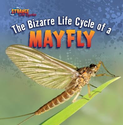 The Bizarre Life Cycle of a Mayfly by Roza, Greg