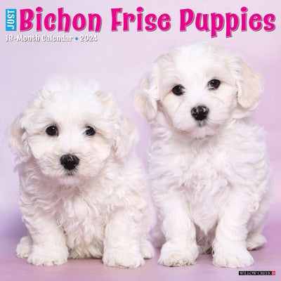 Just Bichon Frise Puppies 2024 12 X 12 Wall Calendar by Willow Creek Press
