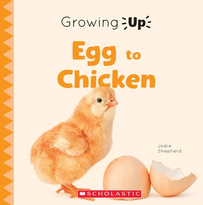 Egg to Chicken (Growing Up) by Shepherd, Jodie