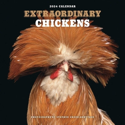 Extraordinary Chickens 2024 Wall Calendar by Stephen Green-Armytage