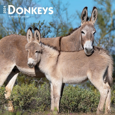 Donkeys 2024 Square by Browntrout