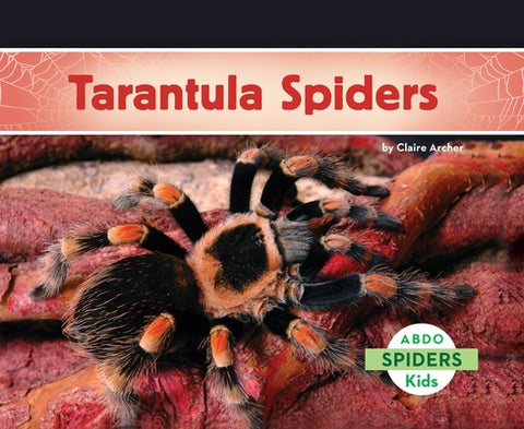 Tarantula Spiders by Archer