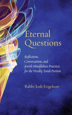 Eternal Questions by Feigelson, Josh