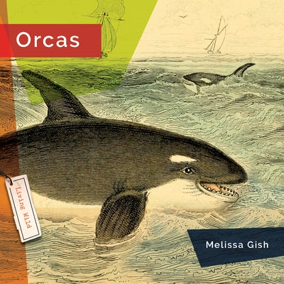 Orcas by Gish, Melissa