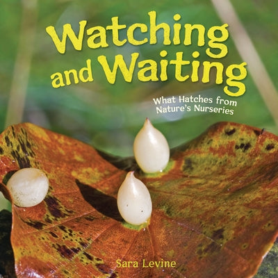 Watching and Waiting: What Hatches from Nature's Nurseries by Levine, Sara